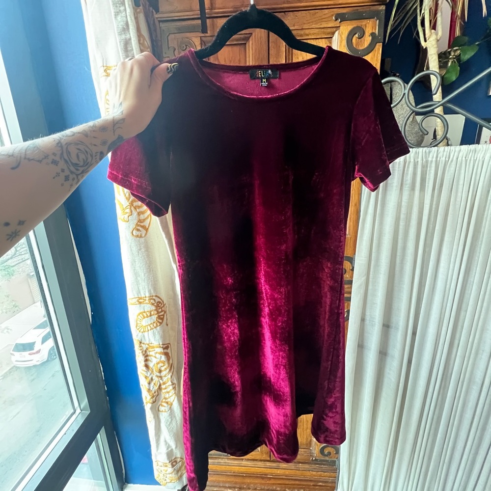 Delia*s Dollskill Burgundy Velvet Mini Dress